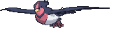 Swellow